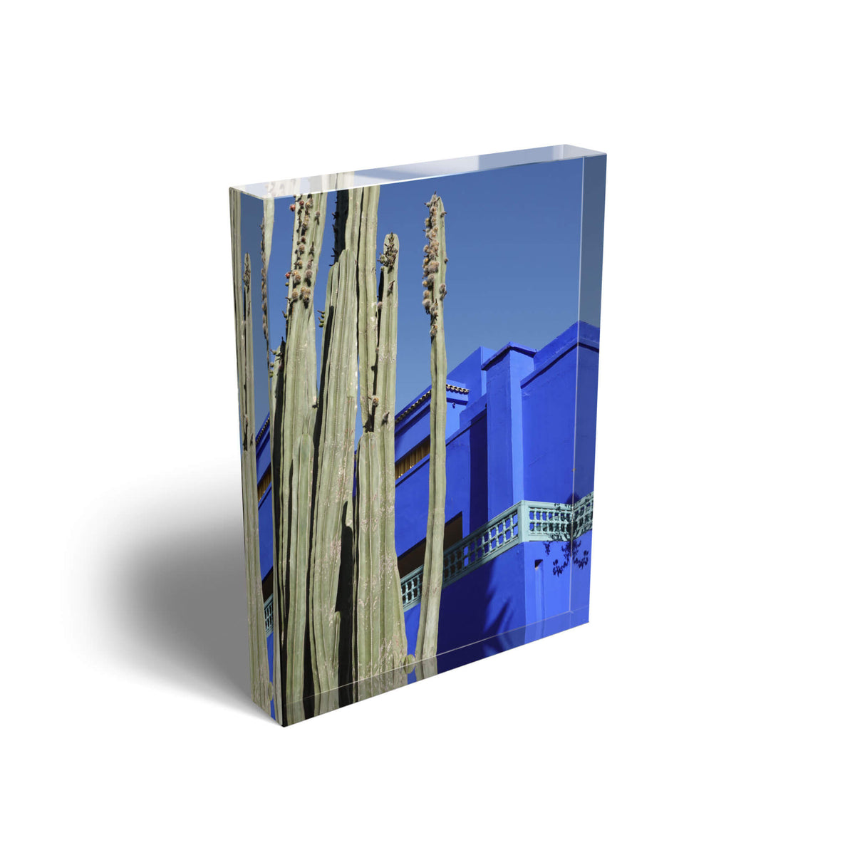 Cobalt couture Block