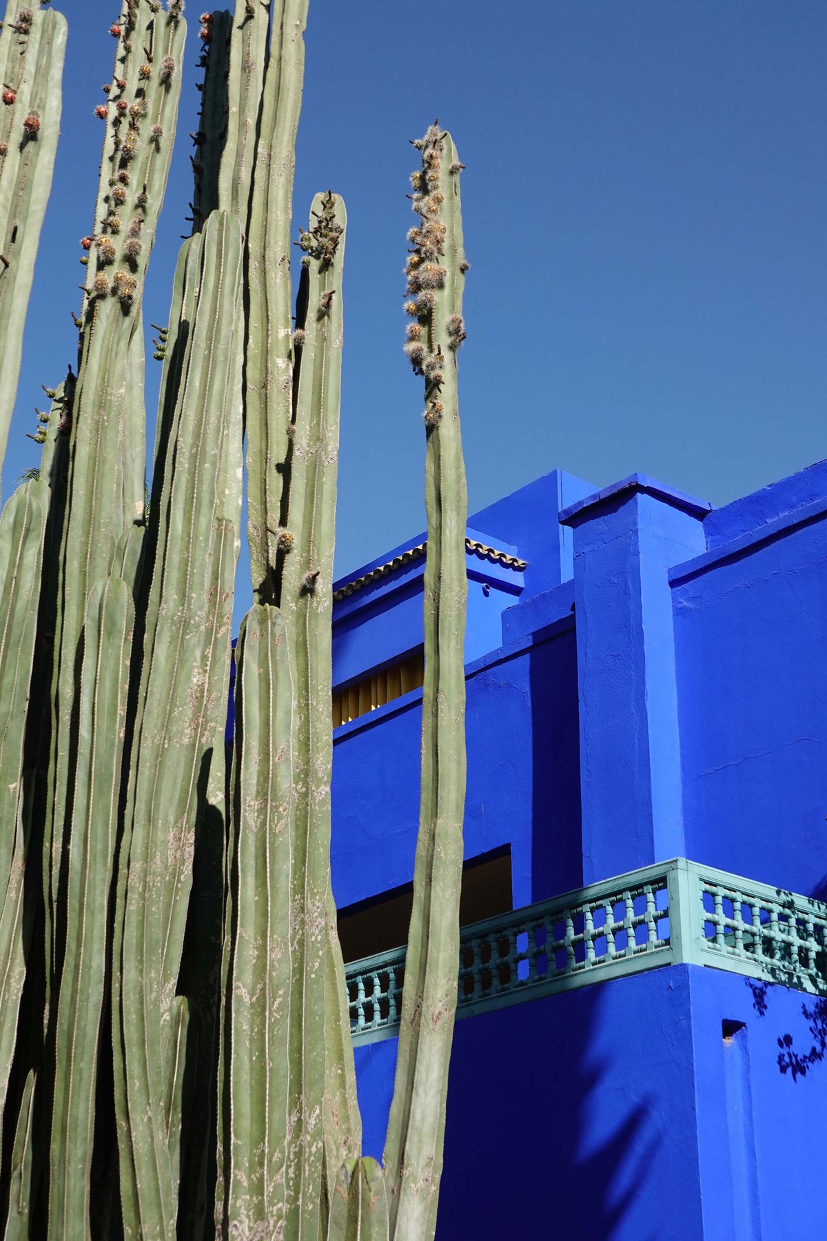 Cobalt couture