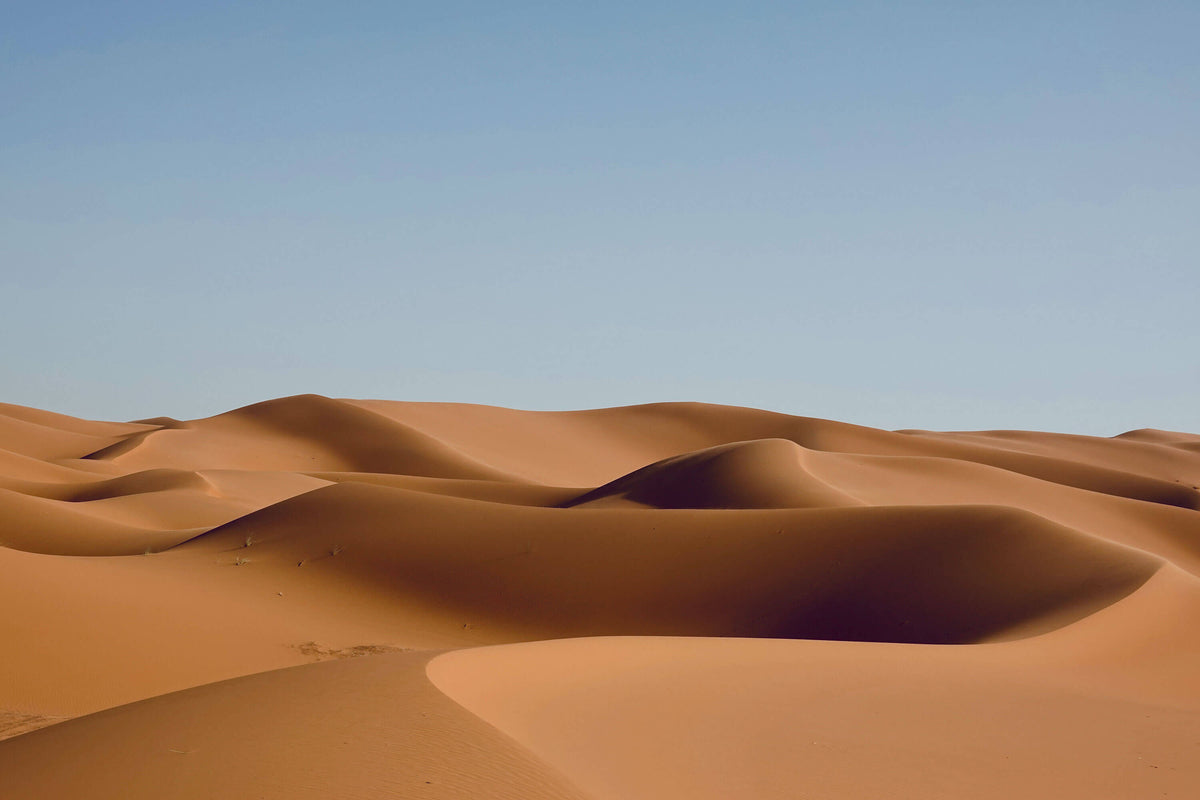 Dunes for Days