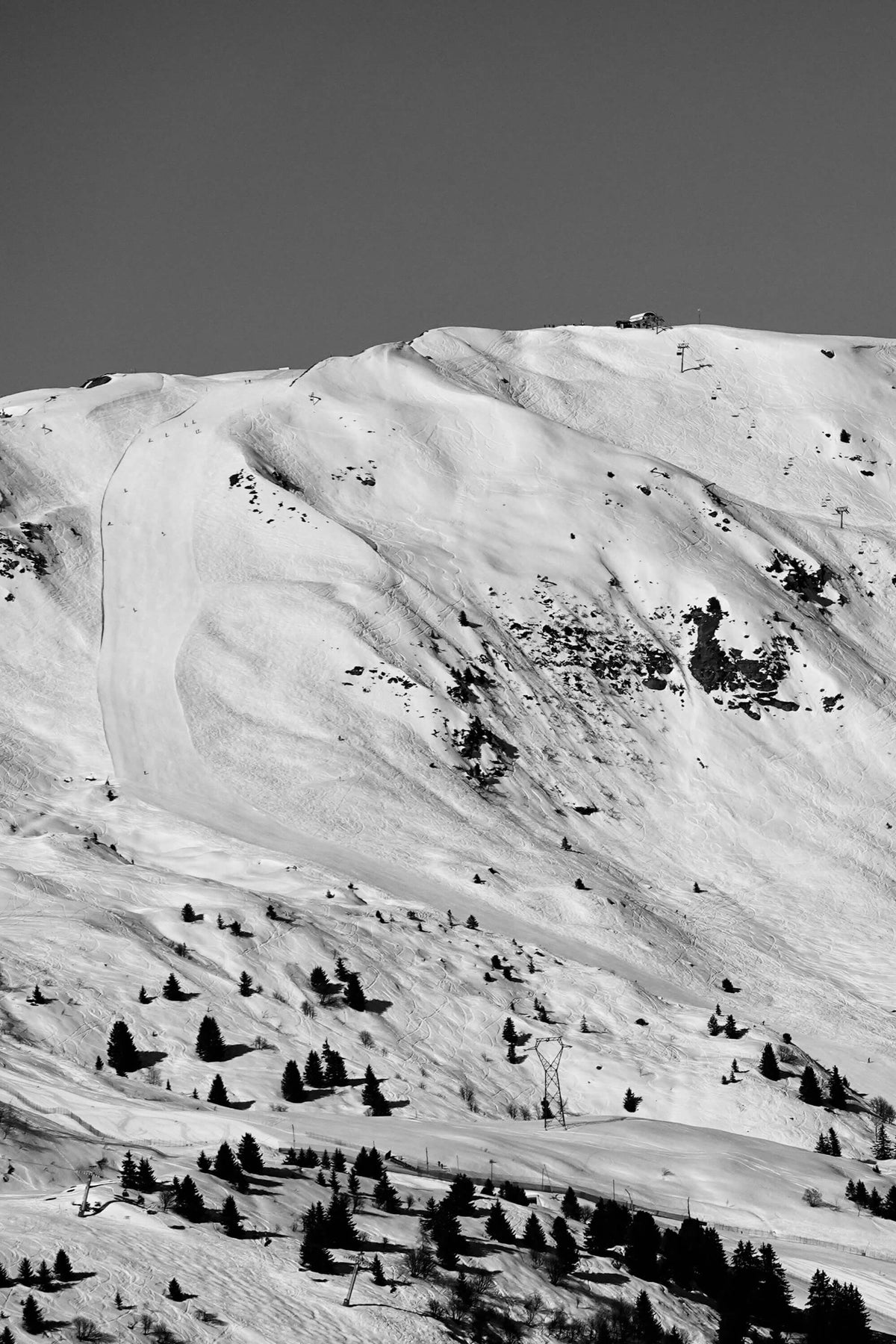 Powder paradise